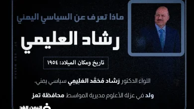 رشاد العليمي من هو رئيس اليمن الجديد ويكيبيديا | alyemenalghad.news
