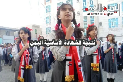 معرفة نتائج الصف التاسع الشهادة الاعدادية رقم الجلوس 2024 ثالث اعدادي