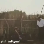 مسلسلات رمضان : حقيقة بث مسلسل همي همك 9 " زنبقه" خلال شهر رمضان 2018