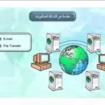 ماهي الشبكة العنكبوتية العالمية