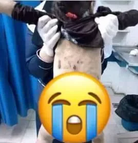 معاقبة جدة وخال جنا : إغتصاب الطفلة جنا