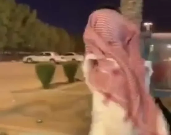 متحرش بالعار هاشتاق في تويتر | alyemenalghad.news