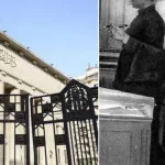 سبب وفاة مفيدة عبد الرحمن المحامية المصرية ويكيبيديا