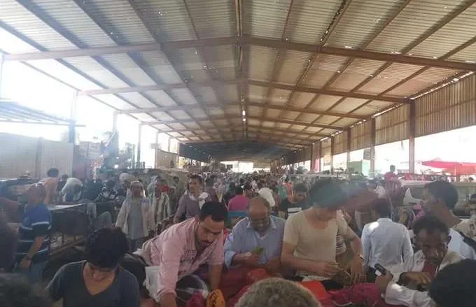 حقيقة اغلاق اسواق القات في صنعاء اليمن حقيقة اغلاق اسواق القات في صنعاء اليمن | alyemenalghad.news