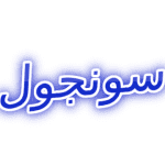 معنى اسم سونجول وصفاته