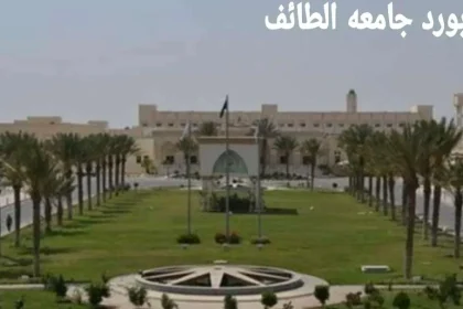 بلاك بورد جامعة الطائف تسجيل الدخول 1447