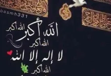 DkkaH