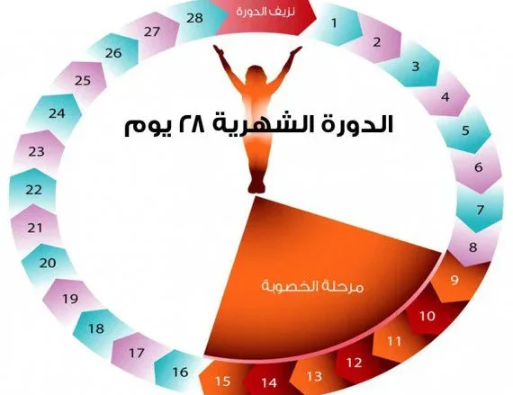 أعراض فترة التبويض أعراض فترة التبويض