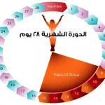 أعراض فترة التبويض