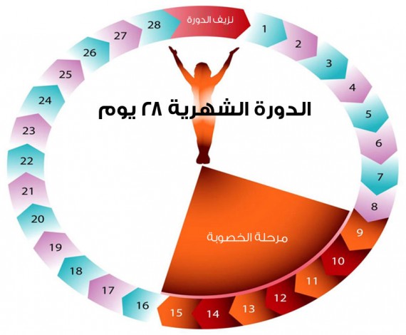 أعراض فترة التبويض