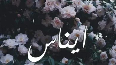 معنى اسم ” إيناس ” وصفات حاملة الأسم تقدمه لكم عالم النجوم – جريدة عالم النجوم