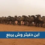 ابن دغيثر وش يرجع