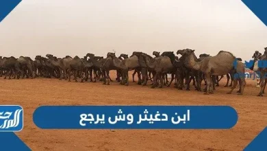 ابن دغيثر وش يرجع