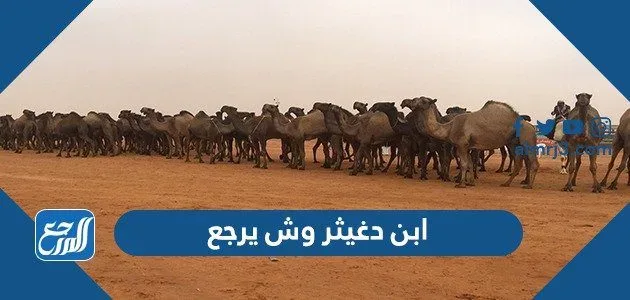 ابن دغيثر وش يرجع