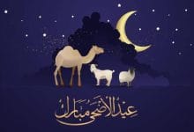 اجازة عيد الاضحى 1443 … كم باقي لعيد الأضحى 2022 عداد تنازلي