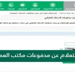 استعلام عن مدفوعات مكتب العمل