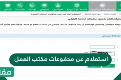 استعلام عن مدفوعات مكتب العمل