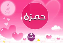 مجلة رقيقة