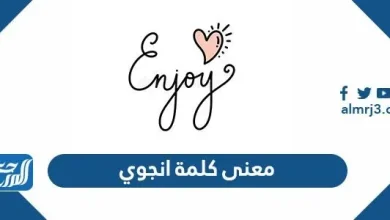 معنى كلمة انجوي
