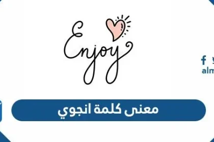 معنى كلمة انجوي