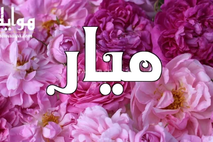 معنى اسم ميار وصفاتها - هواية