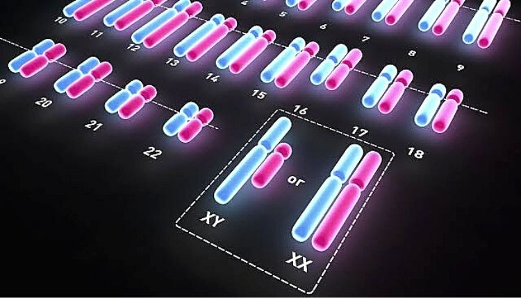 مخاطر اختبار النمط النووي