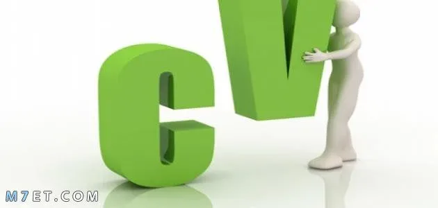 بحث عن السيرة الذاتية 2025 بحث عن السيرة الذاتية