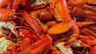 فوائد الإستاكوزا الصحية • فهرس