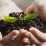 في عام 2019 ما هي فعالية شي ان الخيريه