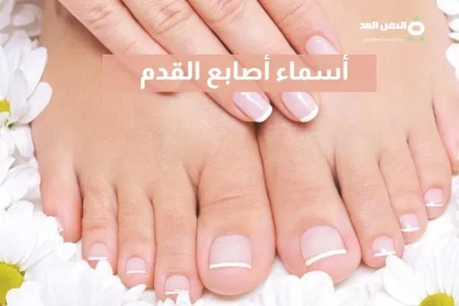 أسماء أصابع القدم