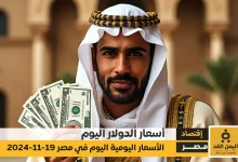 سعر الدولار اليوم الثلاثاء 19 نوفمبر 2024 في مصر استقرار ملحوظ أمام الجنيه المصري