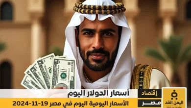 سعر الدولار اليوم الثلاثاء 19 نوفمبر 2024 في مصر استقرار ملحوظ أمام الجنيه المصري