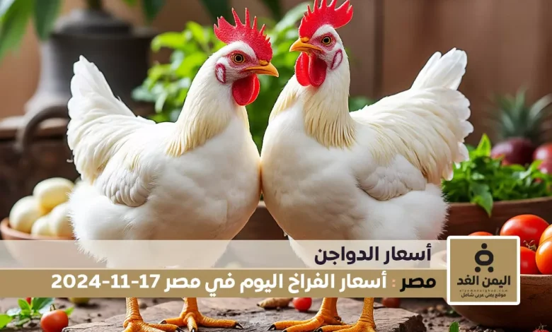 أسعار الفراخ البيضاء اليوم في مصر 17-11-2024