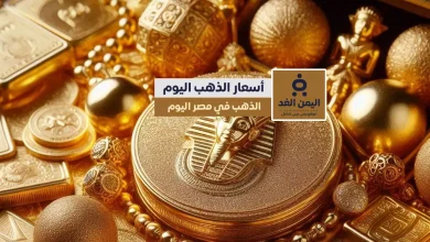 اسعار الذهب في مصر 12-11-2024