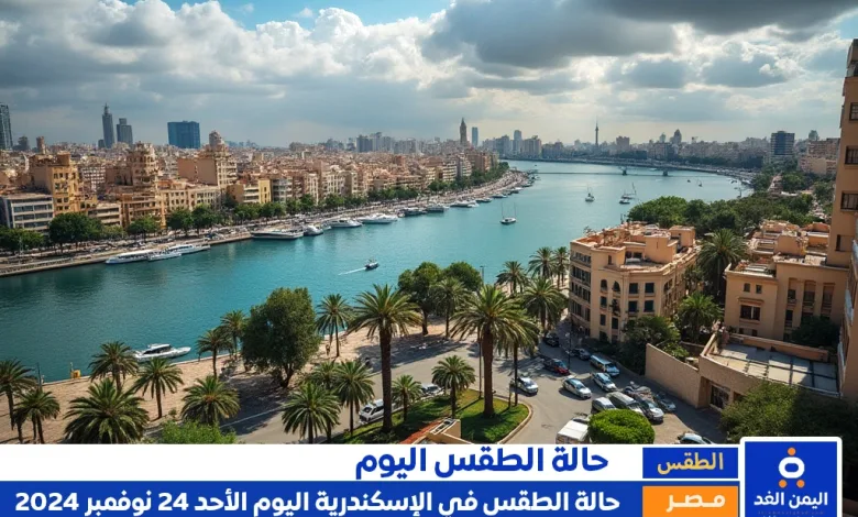 حالة الطقس في الإسكندرية اليوم 24-11-2024