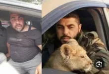القبض على طلال الدقاق
