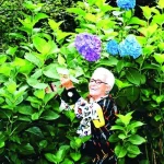 روزيتا ميسوني