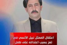 نبيل الأنسي