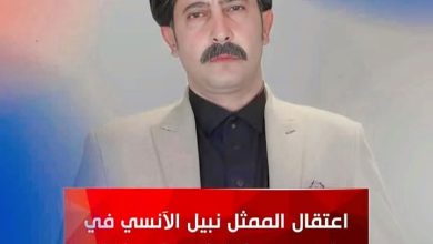 نبيل الأنسي