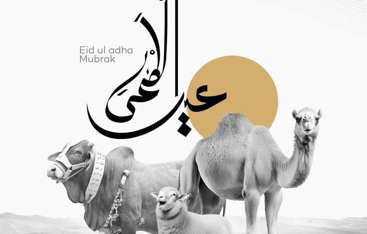 صور خروف العيد