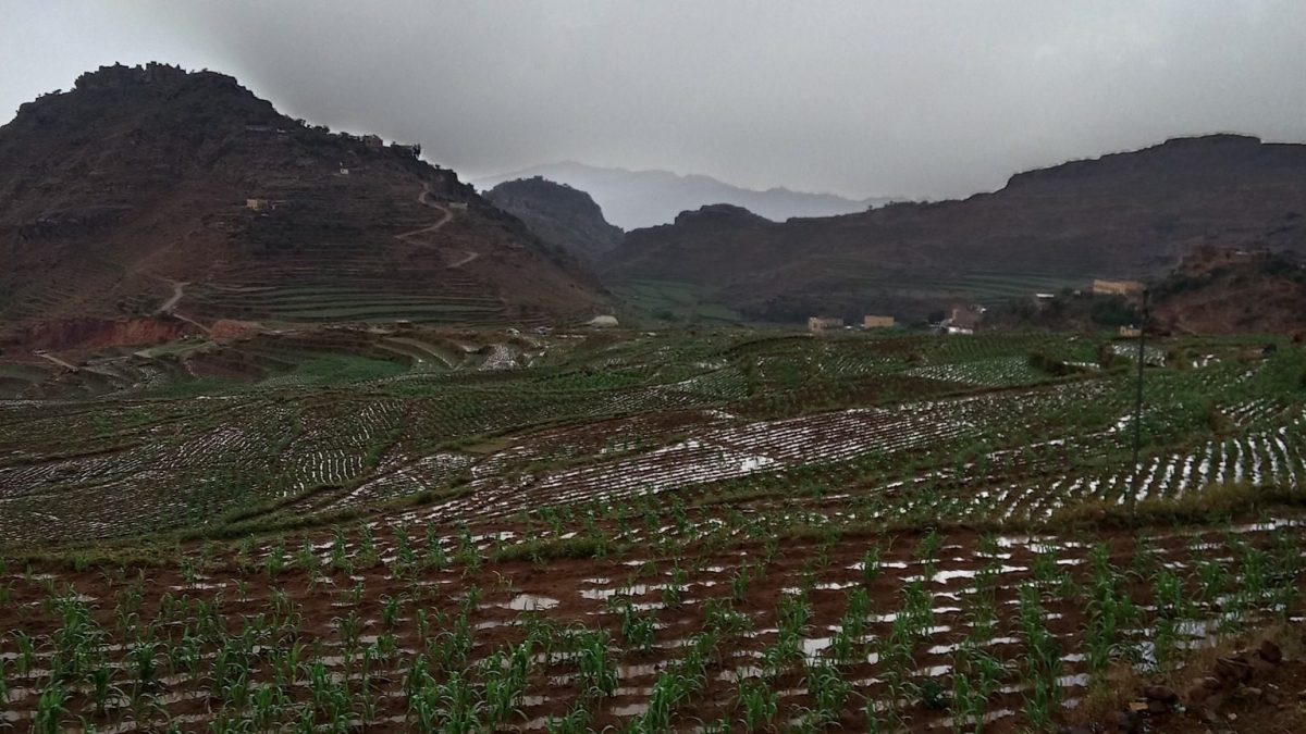 حالة الطقس في اليمن 18 يوليو 2025