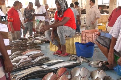 أسعار السمك اليوم في عدن 6 أغسطس 2025
