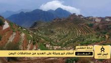 أمطار خير وبركة على اليمن حالة الطقس اليوم 11 اغسطس 2025
