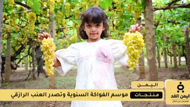 وتصدر العنب الرازقي