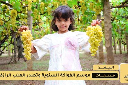 وتصدر العنب الرازقي