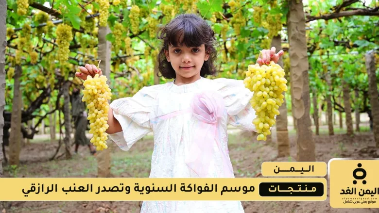 وتصدر العنب الرازقي
