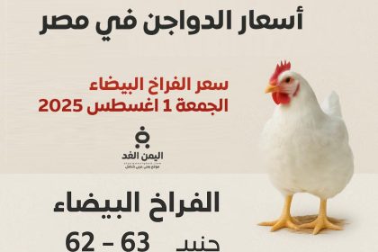 أسعار الدواجن اليوم الجمعة 1 أغسطس 2025