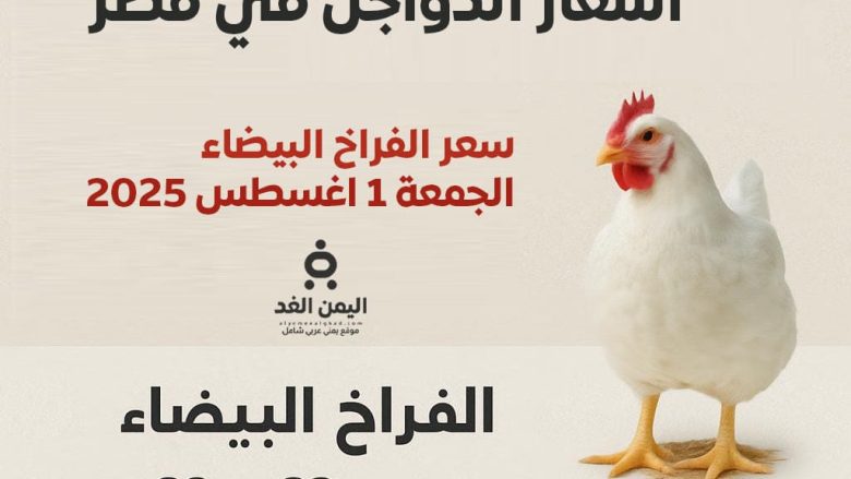 أسعار الدواجن اليوم الجمعة 1 أغسطس 2025 في الأسواق المصرية الفراخ البيضاء أسعار الدواجن اليوم الجمعة 1 أغسطس 2025