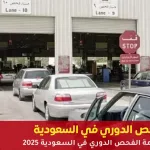 الفحص الدوري