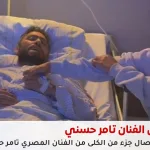 الفنان تامر حسني